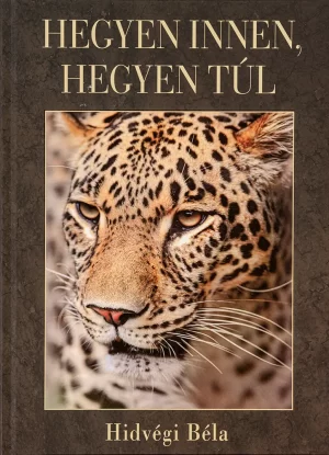 Hegyen innen, hegyen túl